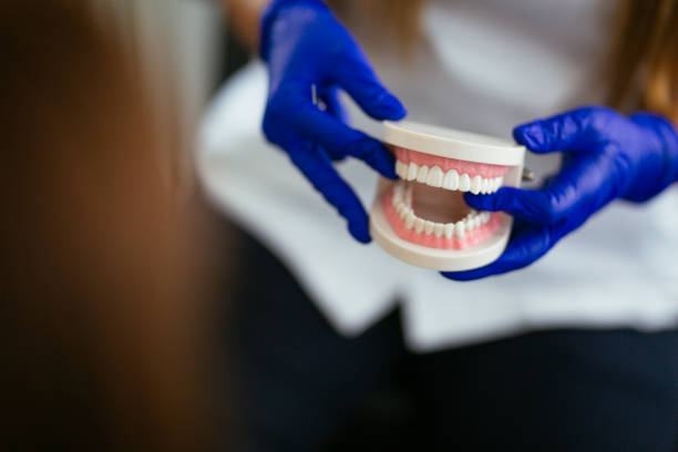 Humansville, MO Holistic Dental Care Services Company